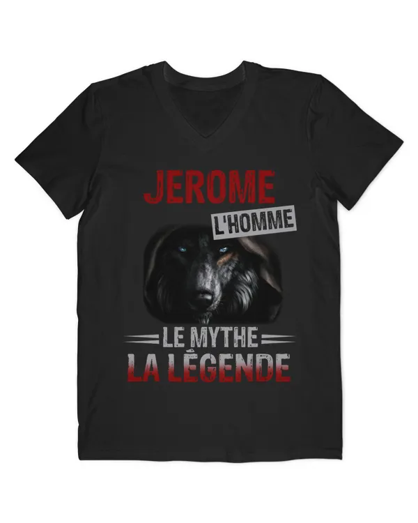 Men's V-Neck T-Shirt