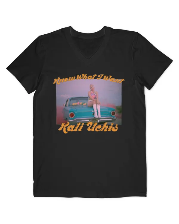 Men's V-Neck T-Shirt
