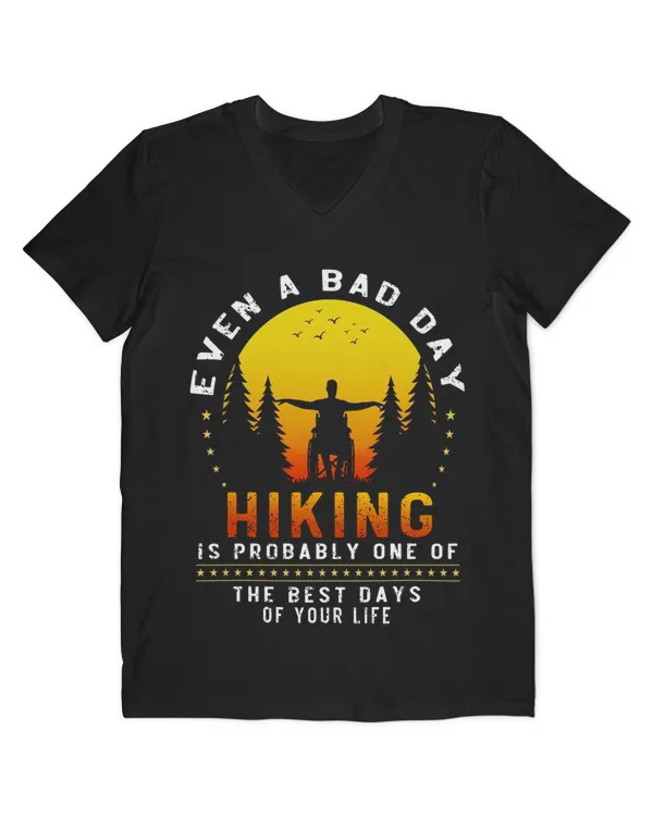 Men's V-Neck T-Shirt