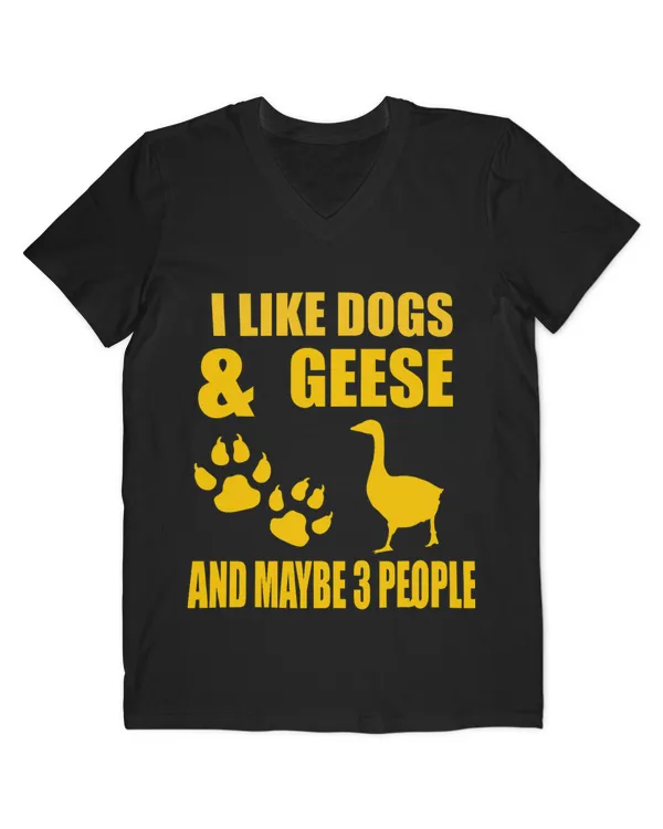 Men's V-Neck T-Shirt