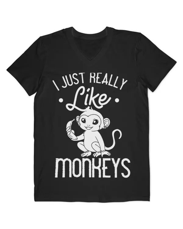 Men's V-Neck T-Shirt