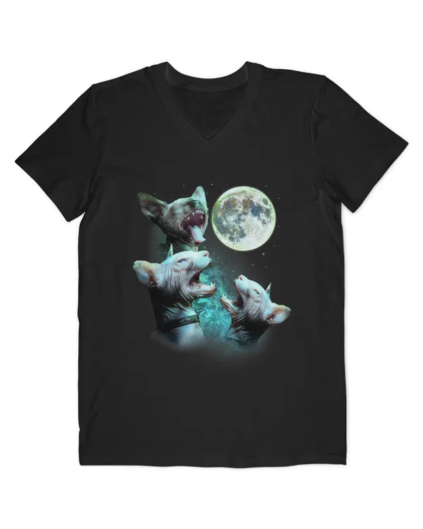 Men's V-Neck T-Shirt