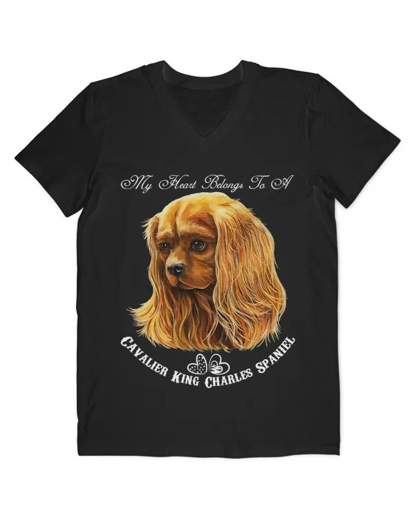 Men's V-Neck T-Shirt