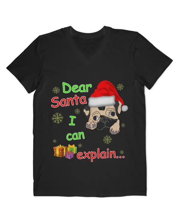 Men's V-Neck T-Shirt