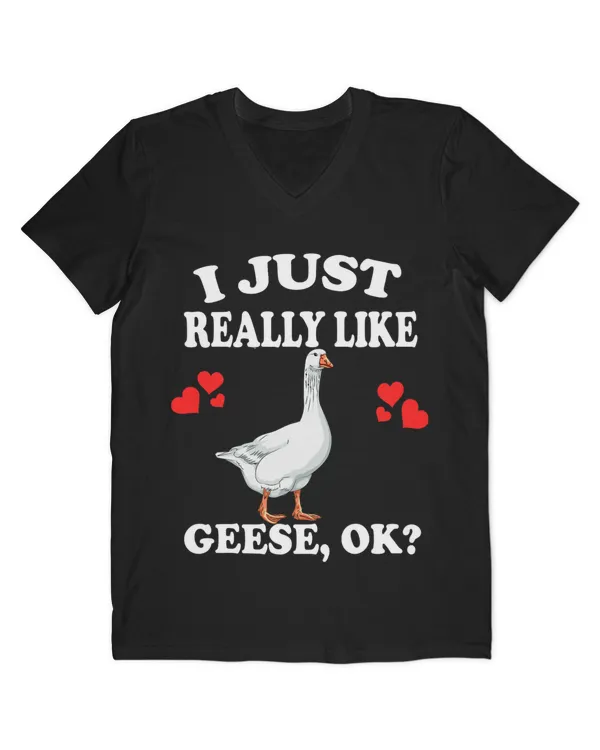 Men's V-Neck T-Shirt