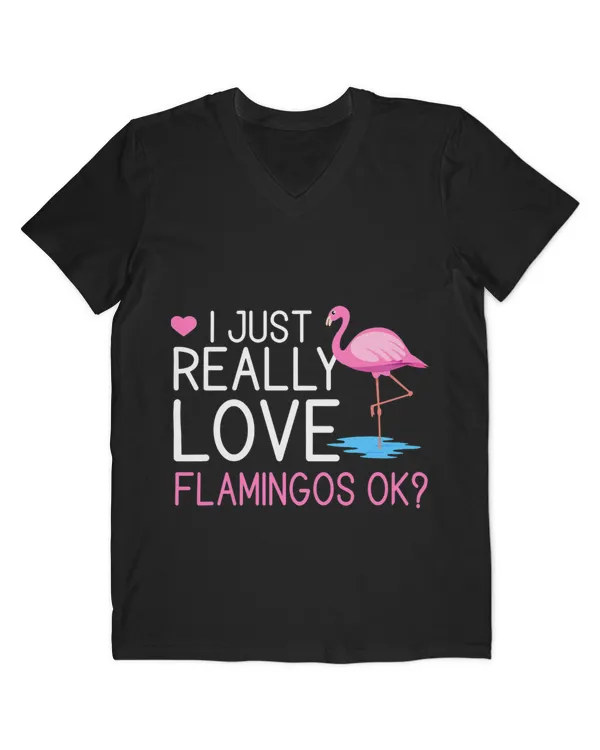 Men's V-Neck T-Shirt