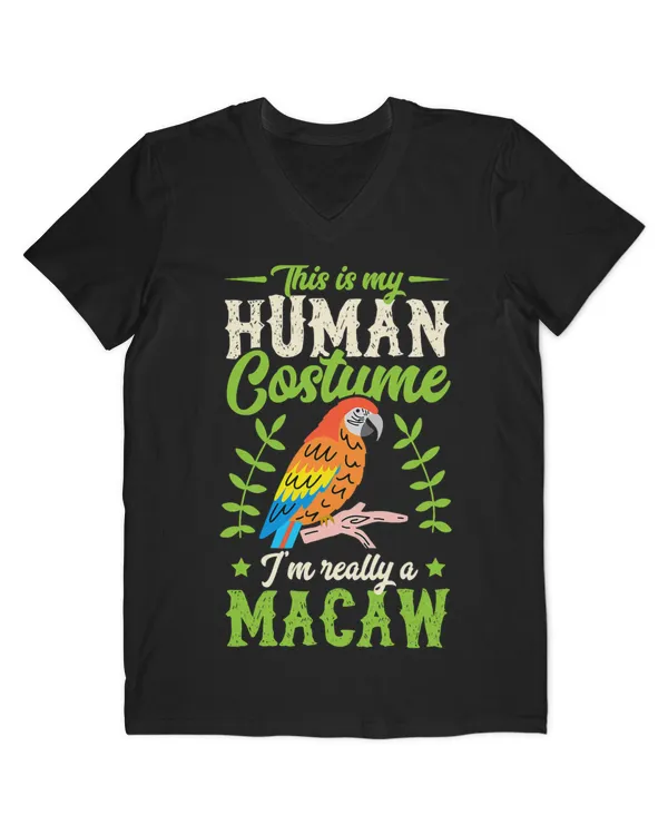 Men's V-Neck T-Shirt