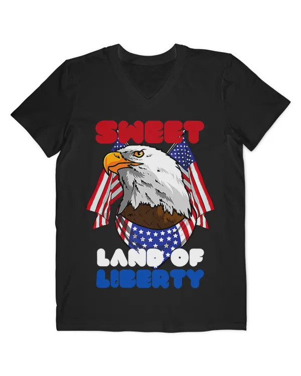 Men's V-Neck T-Shirt