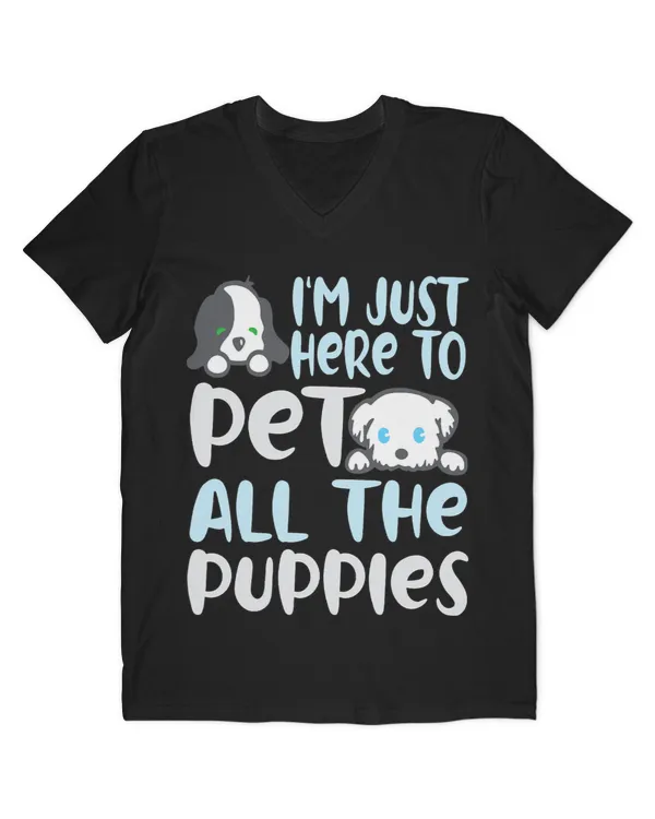 Men's V-Neck T-Shirt