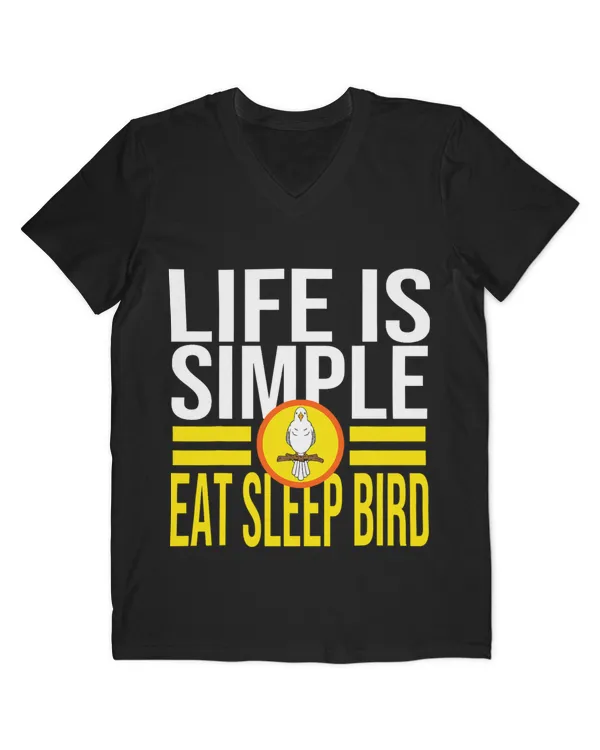 Men's V-Neck T-Shirt