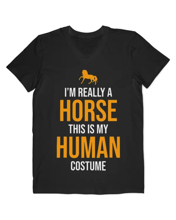 Men's V-Neck T-Shirt