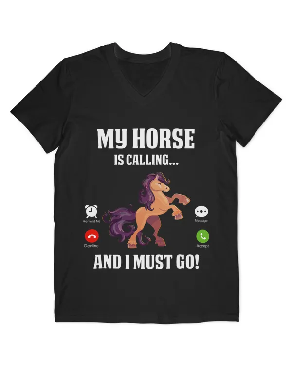 Men's V-Neck T-Shirt