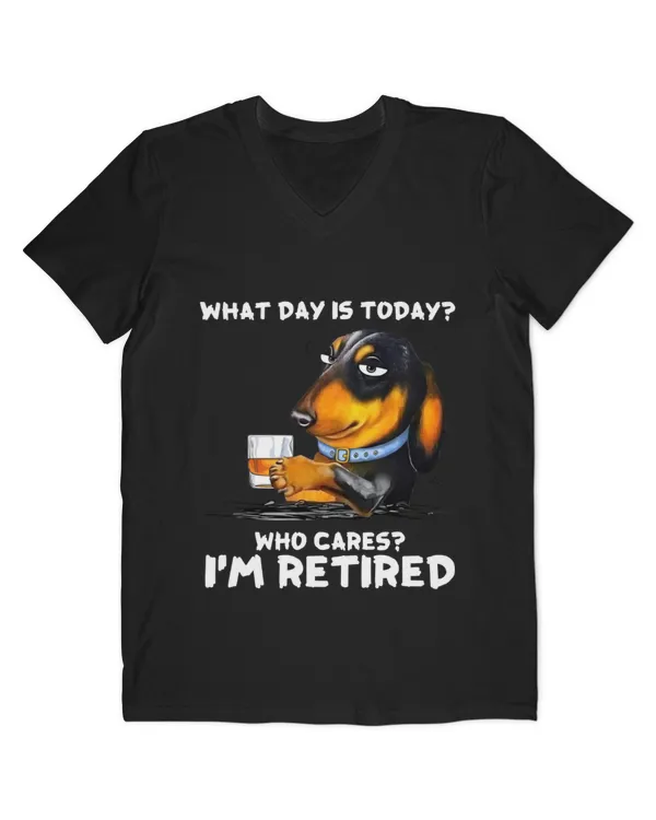 Men's V-Neck T-Shirt