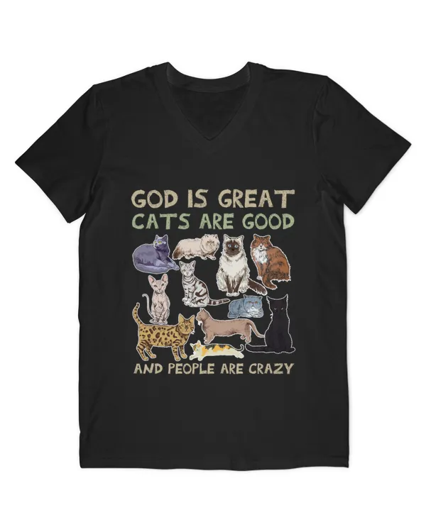 Men's V-Neck T-Shirt