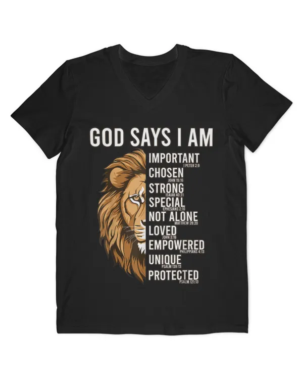 Men's V-Neck T-Shirt