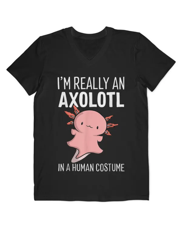 Men's V-Neck T-Shirt