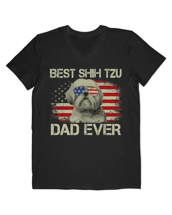 Men's V-Neck T-Shirt
