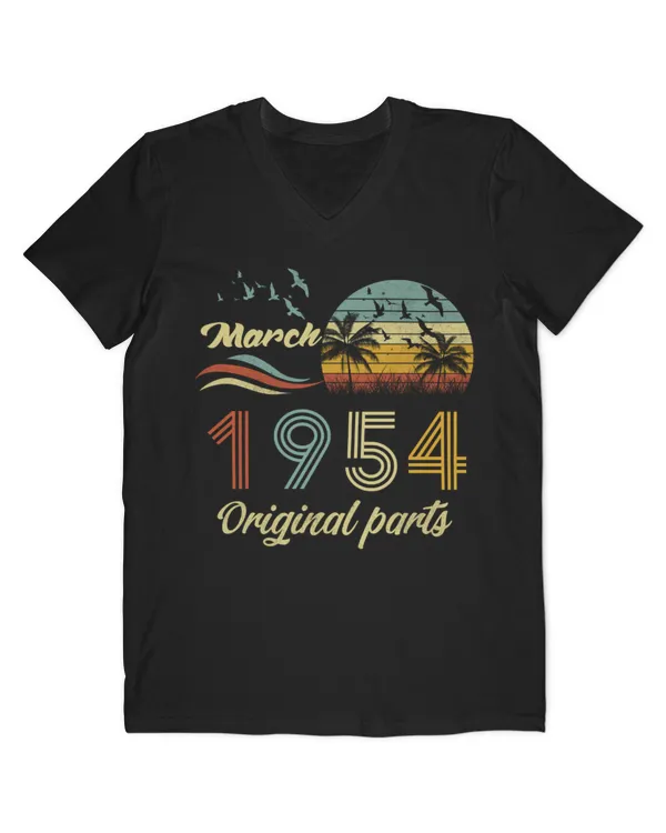 Men's V-Neck T-Shirt