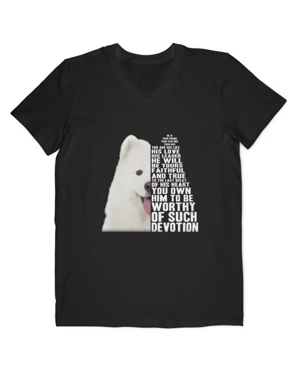 Men's V-Neck T-Shirt