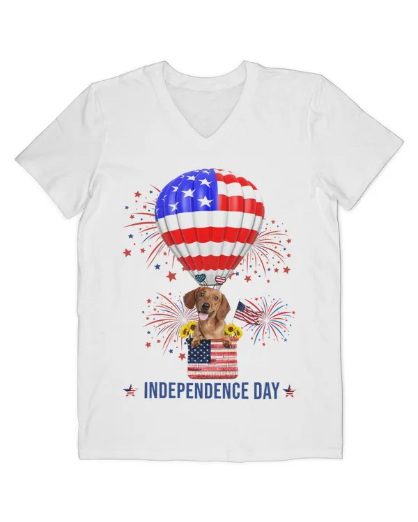 Men's V-Neck T-Shirt