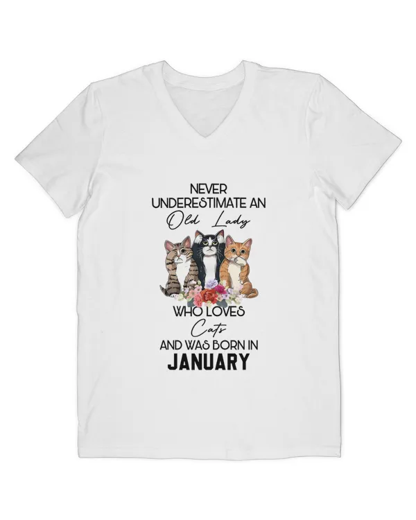Men's V-Neck T-Shirt