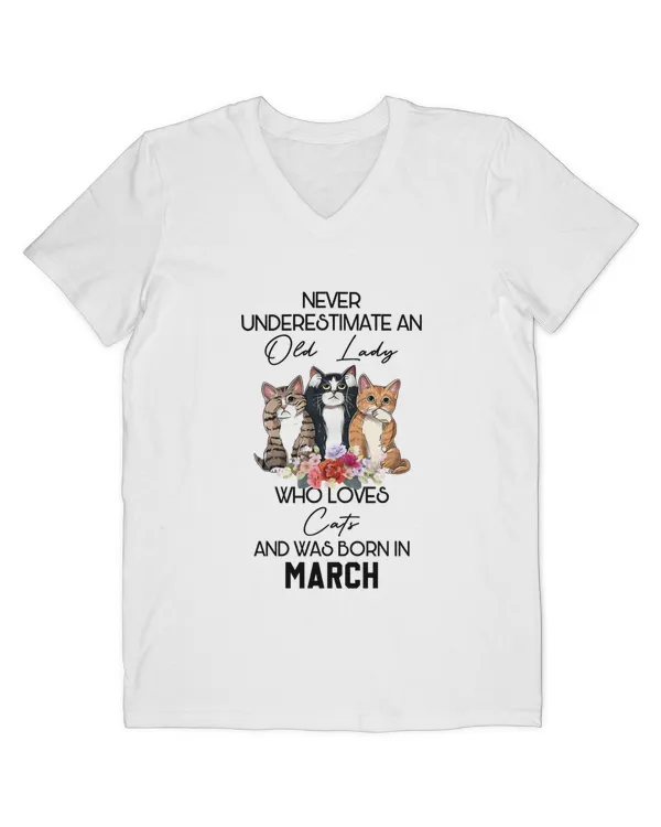 Men's V-Neck T-Shirt