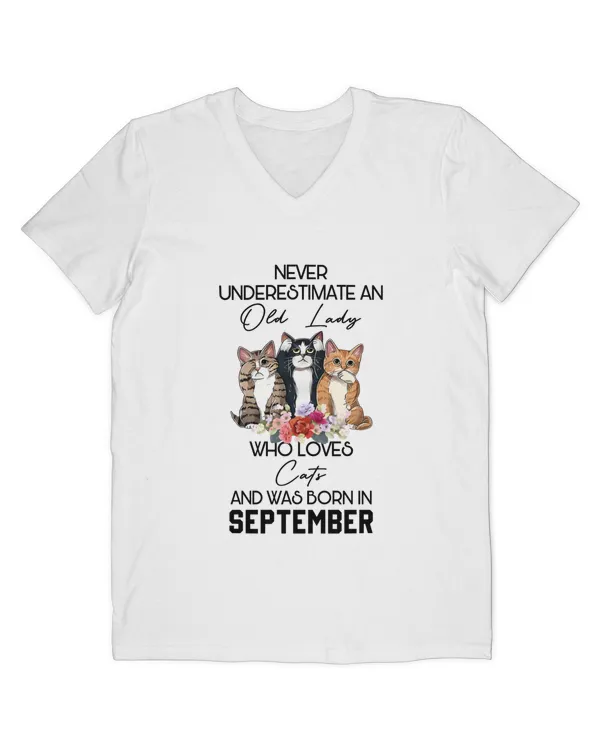 Men's V-Neck T-Shirt