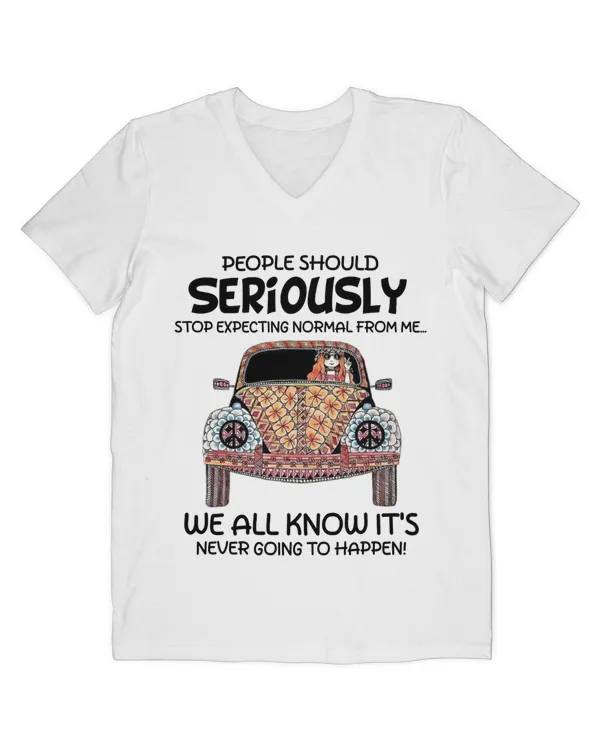 Men's V-Neck T-Shirt