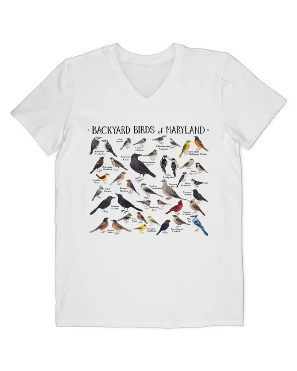 Men's V-Neck T-Shirt