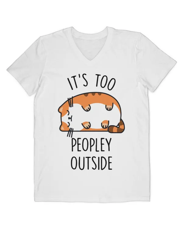 Men's V-Neck T-Shirt