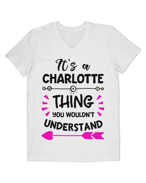 Men's V-Neck T-Shirt