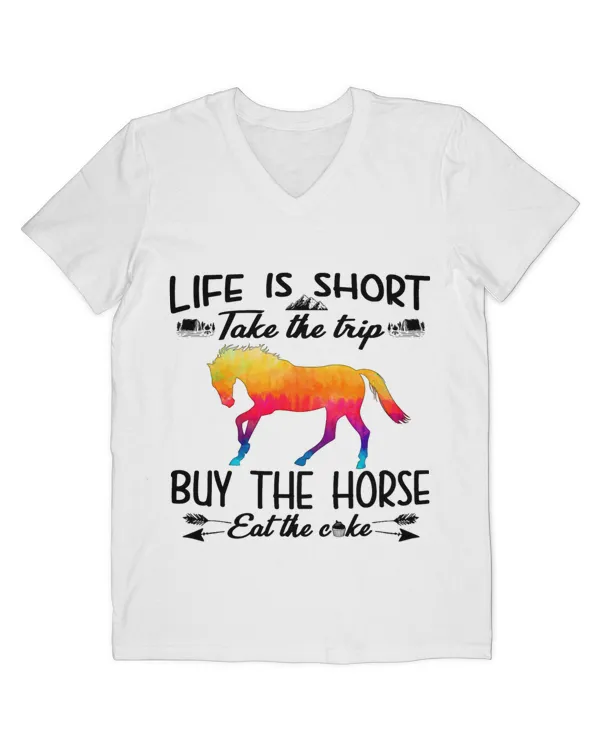 Men's V-Neck T-Shirt