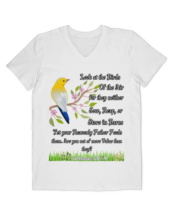 Men's V-Neck T-Shirt