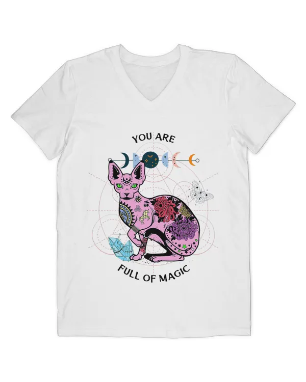 Men's V-Neck T-Shirt