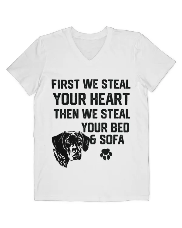 Men's V-Neck T-Shirt