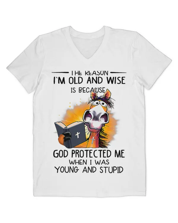 Men's V-Neck T-Shirt