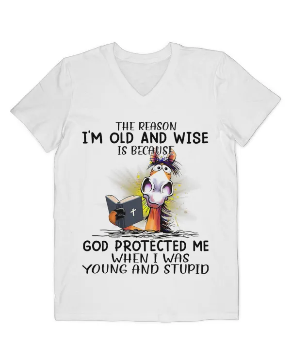Men's V-Neck T-Shirt