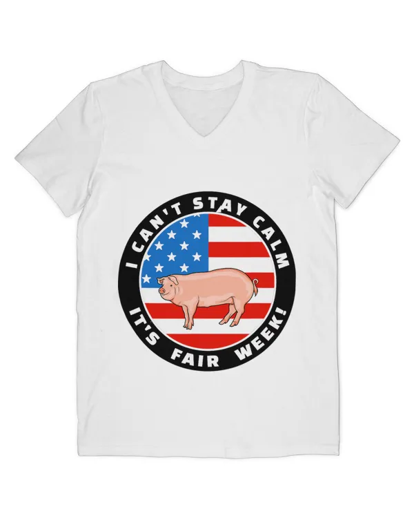 Men's V-Neck T-Shirt