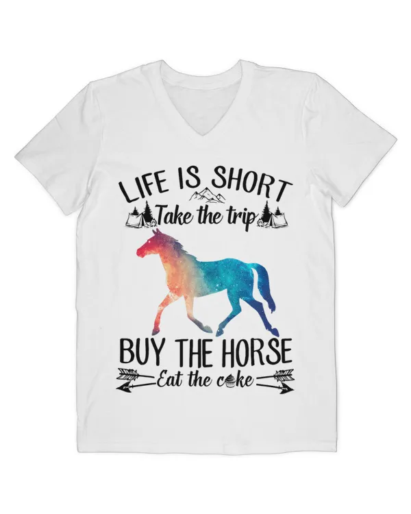 Men's V-Neck T-Shirt