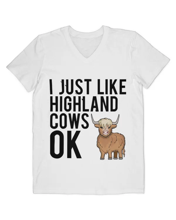 Men's V-Neck T-Shirt