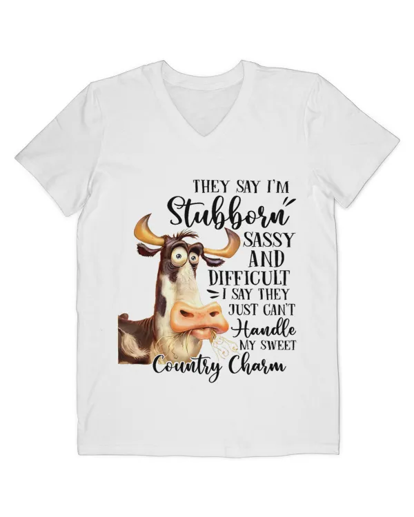 Men's V-Neck T-Shirt