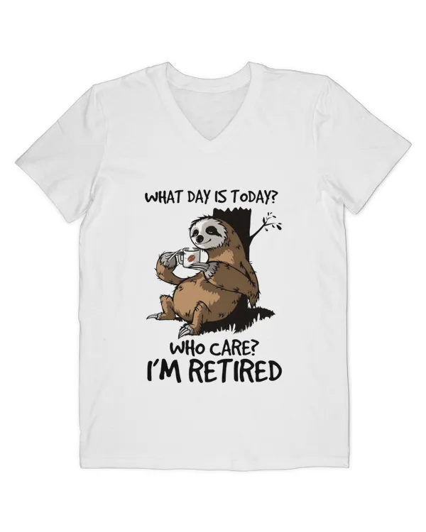 Men's V-Neck T-Shirt