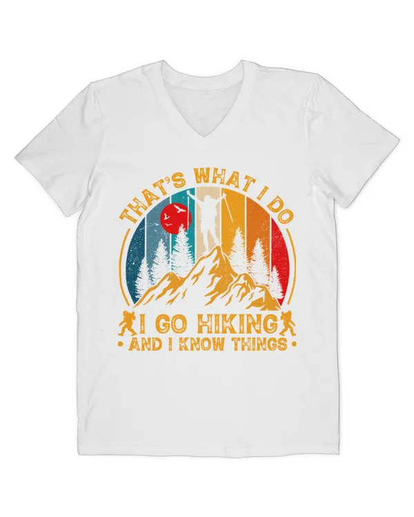 Men's V-Neck T-Shirt