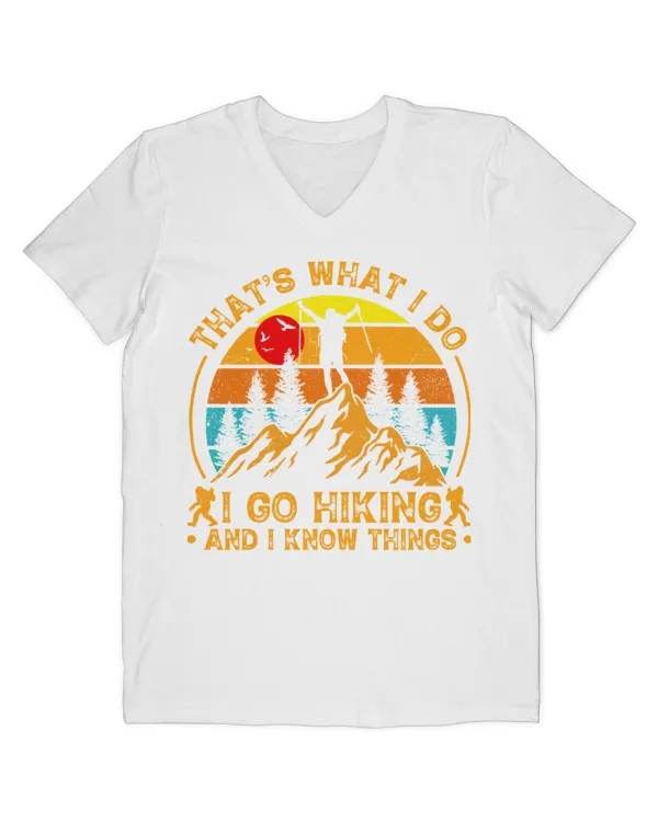 Men's V-Neck T-Shirt