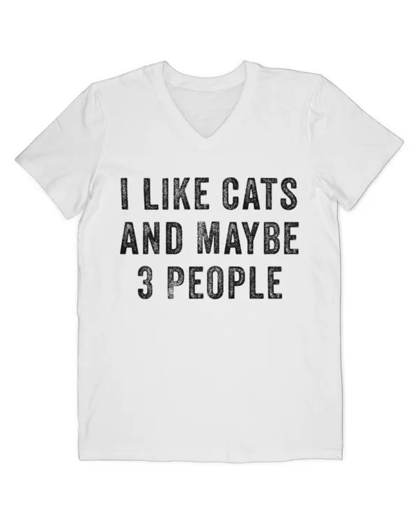 Men's V-Neck T-Shirt