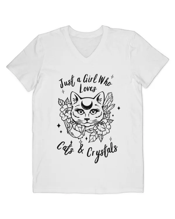 Men's V-Neck T-Shirt