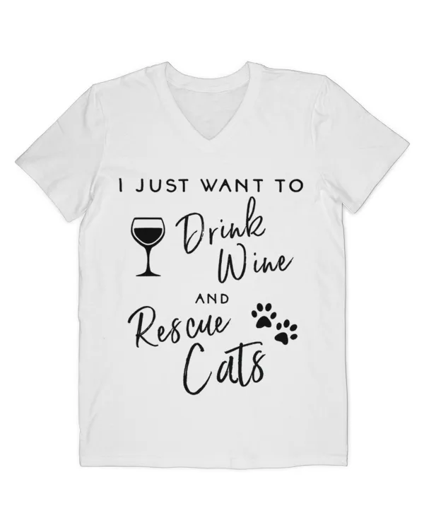 Men's V-Neck T-Shirt