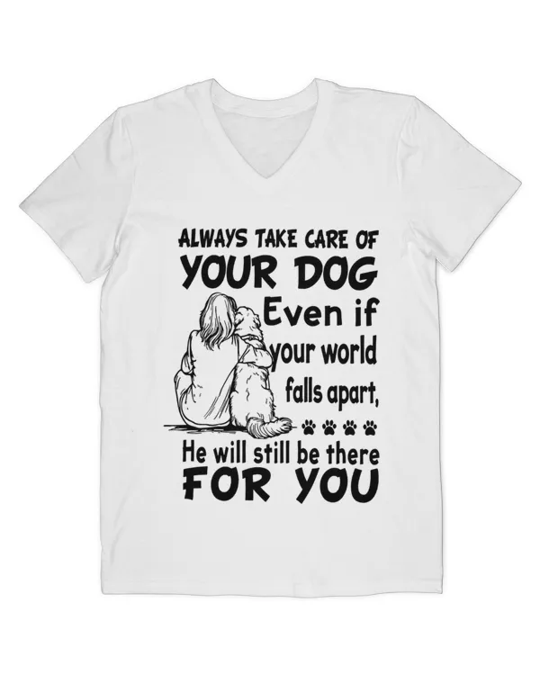 Men's V-Neck T-Shirt