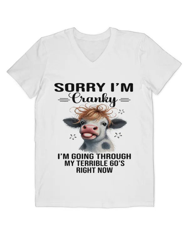 Men's V-Neck T-Shirt