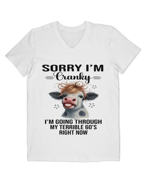 Men's V-Neck T-Shirt
